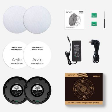 Встраиваемая беспроводная акустика Arylic WBC65